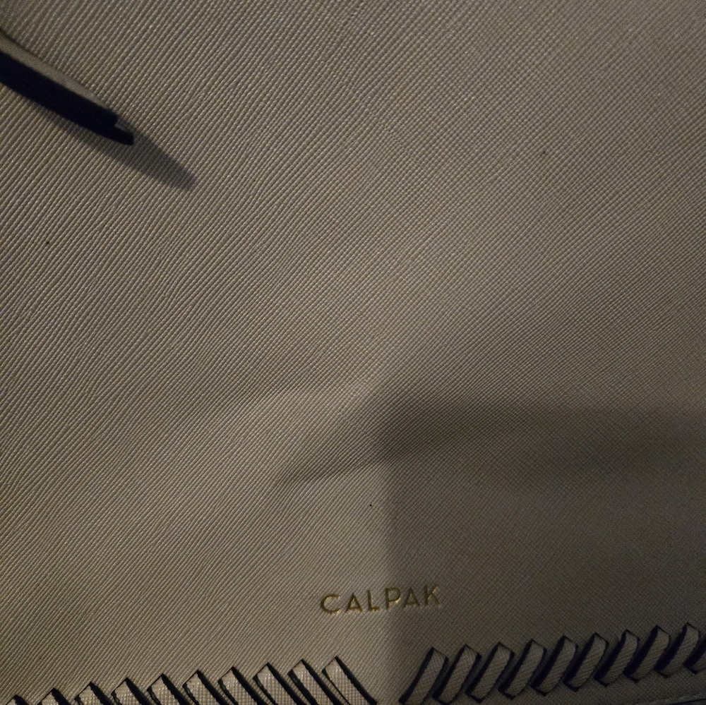 Calpak Laptop backpack - Picture 9 of 13